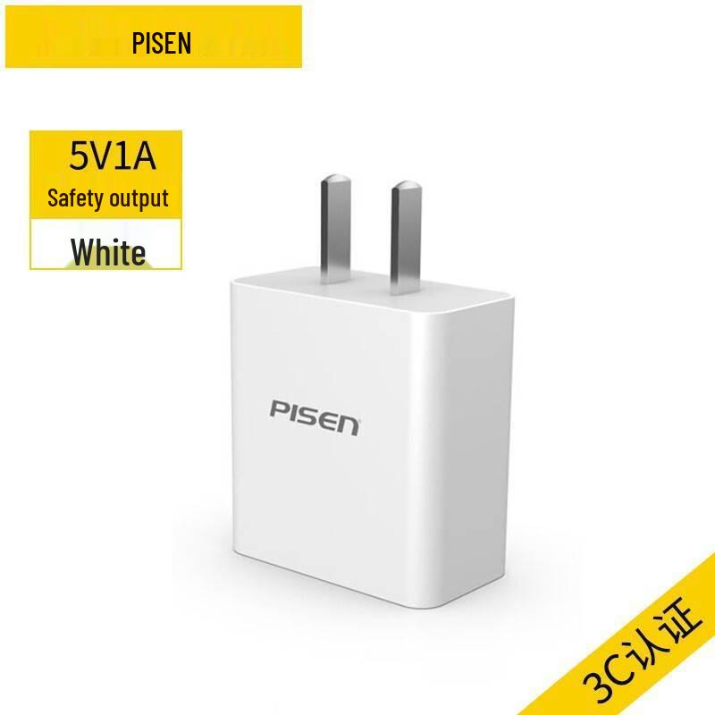 PISEN Dual-Port USB Charger, Fast Charging for Apple, Android, and Tablets.