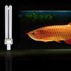 2pcs 11W Lamps UV Light Bulbs for Fish Tank (G23 Lamp Base) Uv Sterilizer Uv Lamp
