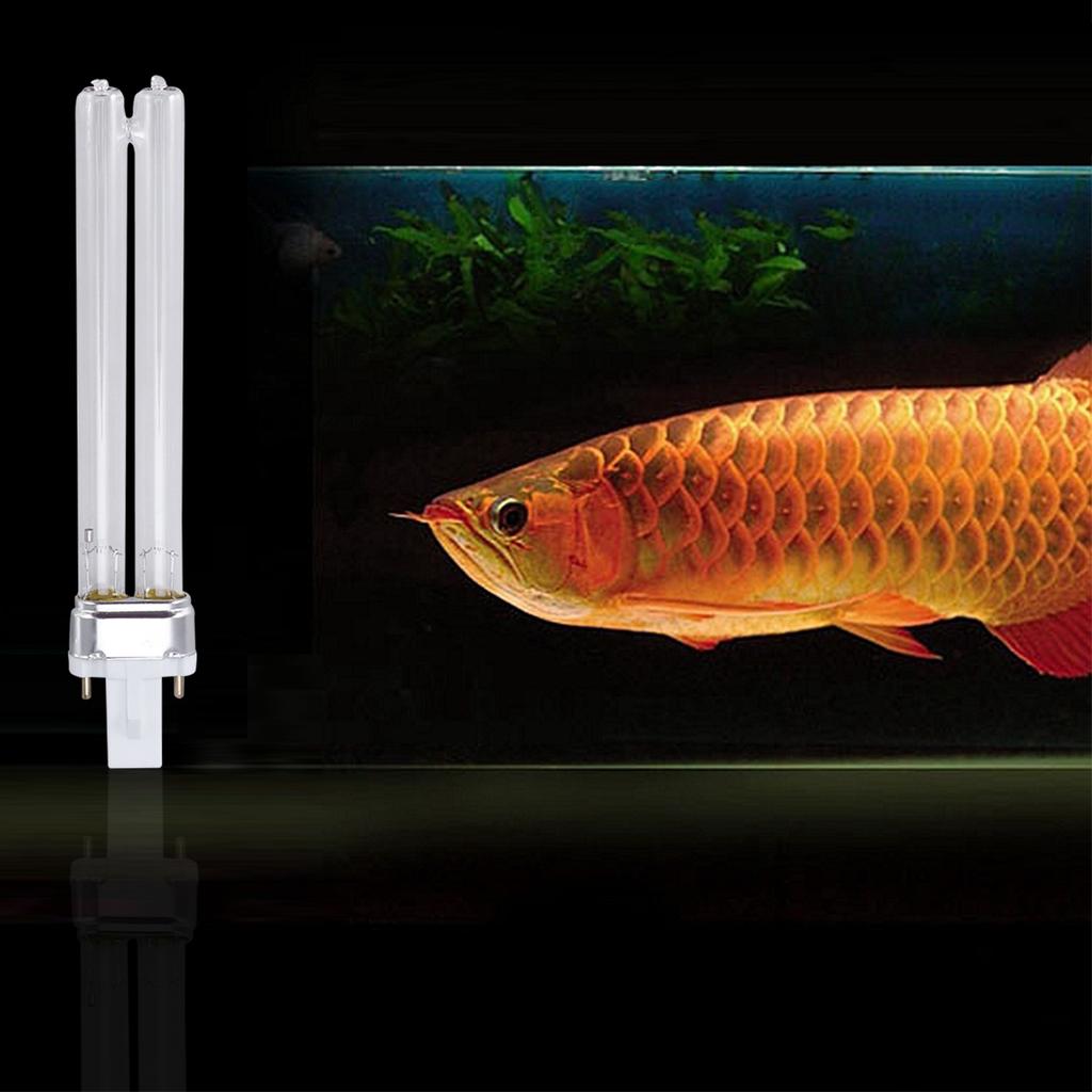 2pcs 11W Lamps UV Light Bulbs for Fish Tank (G23 Lamp Base) Uv Sterilizer Uv Lamp