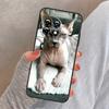 Sphynx Sphinx Cat Cover For OnePlus Nord 4 CE 2 3 Lite N30 N20 N10 OnePlus 13 12 11 10 Pro 8T 10T 12R 13R Case