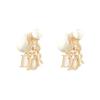 Casual Fashion Trend Resin Earrings Women Earrings E2074WOMCY-D301