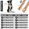 19MM Chew Proof Stainless Steel Gold Dog Chain Collar with Solid Buckle Pet Chains Collars for Large Dog