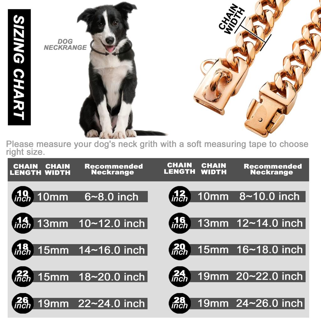 19MM Chew Proof Stainless Steel Gold Dog Chain Collar with Solid Buckle Pet Chains Collars for Large Dog