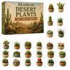 Calendario dell'Avvento Piante Desertiche Mini Succulente Cactus Ciondoli Conto alla Rovescia di Natale Scatola Cieca