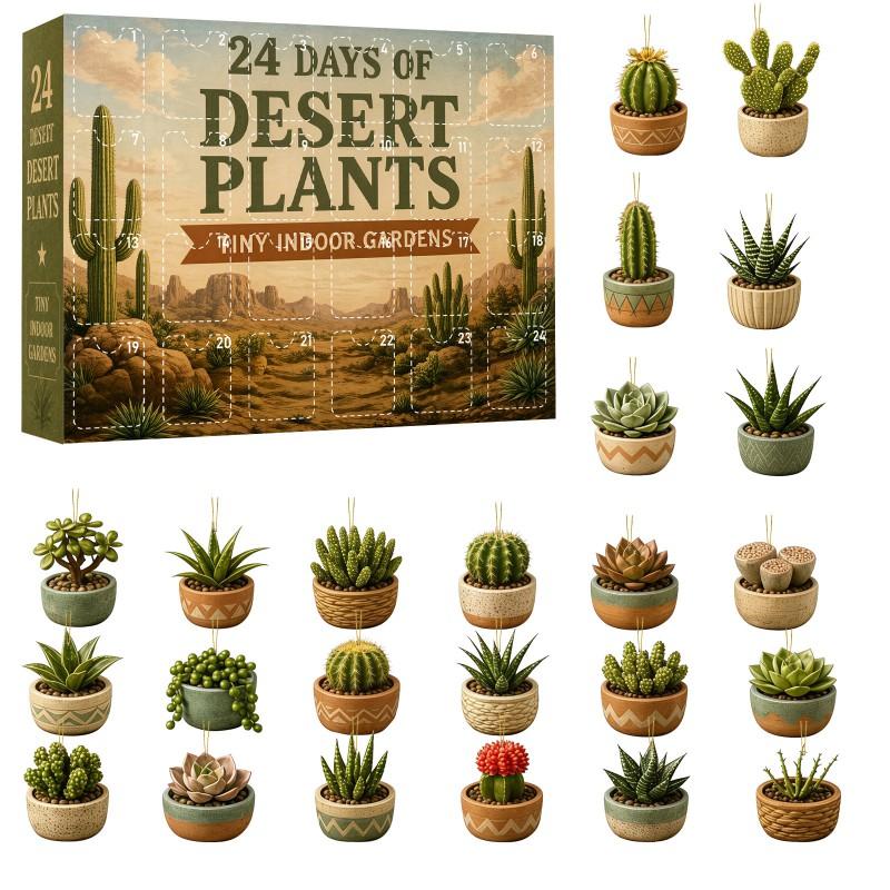 Calendario dell'Avvento Piante Desertiche Mini Succulente Cactus Ciondoli Conto alla Rovescia di Natale Scatola Cieca