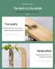 Nan Bamboo Glass Vase: Modern Minimalist Hydroponic Plant Container for Home, Office, Desk, or Wall Decor.