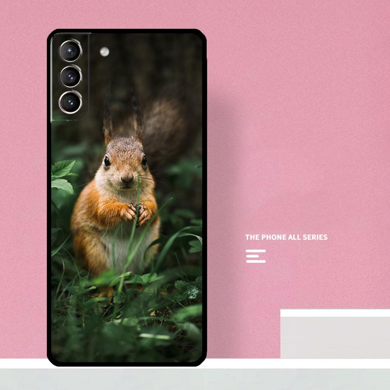 Squirrel Phone Case For Samsung Galaxy S25 S26 Ultra S20 S21 S22 S23 S24 Plus S10 S25 FE Cover Coque