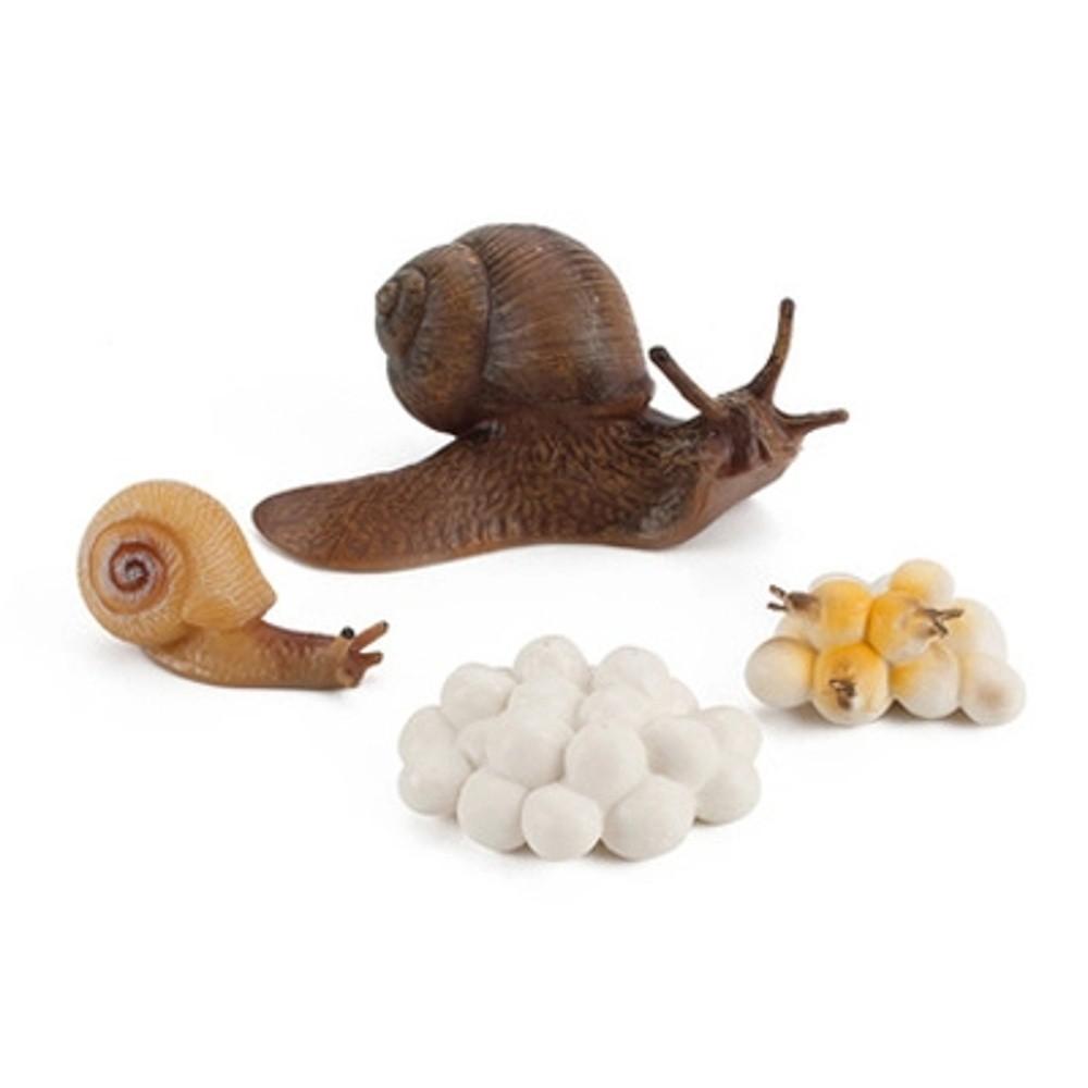 Realistic Kids Toys Praying Mantis Toy Cycle Mantis Figurine Life Cycle Figures Snail Growth Cycle