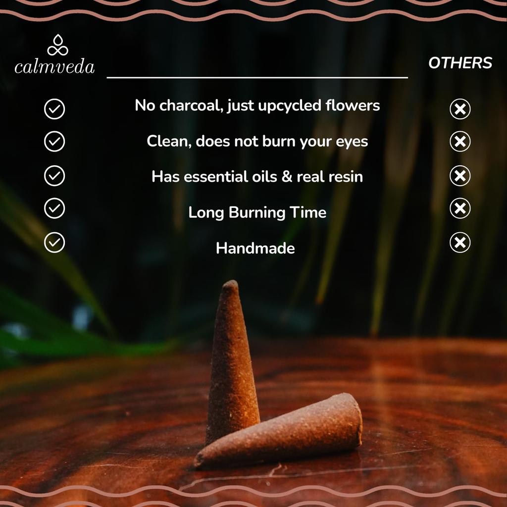 CALMVEDA Organic Incense Cones Scented - 120 Cone Incenses, 10 Variants with Holder