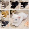 6 Colour Stuffed Plush Toy Lying Prone Simulation Cat Plush Doll Latest Cat Plush Toys  Home Decor
