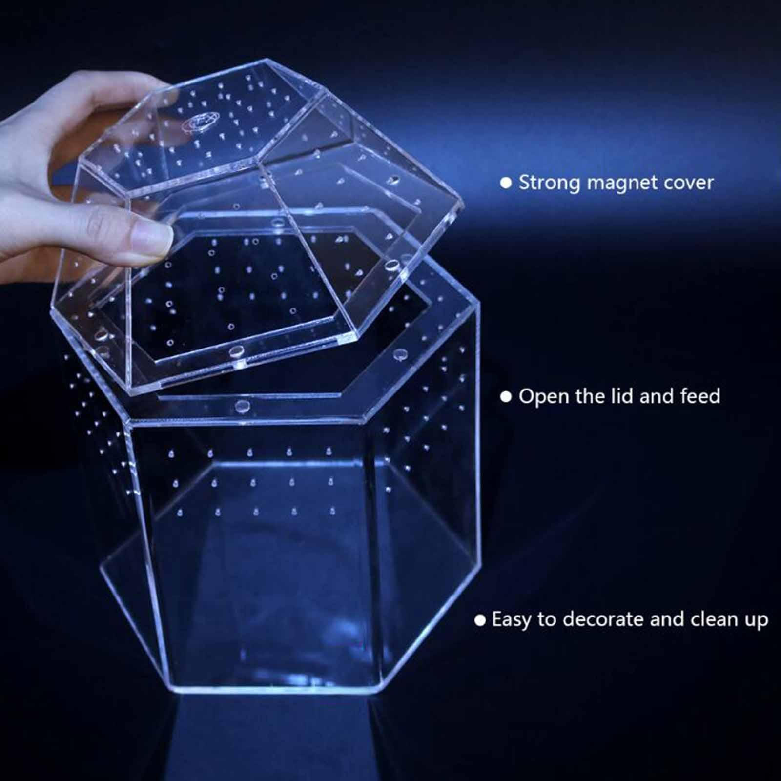 Jumping Enclosure Acrylic Aquarium Box Container Amphibian Habitat Tarantulas Cage Reptile Terrarium