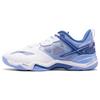 New LiNing Sound Explosion OP Abrasion Resistant Low Top Badminton Shoes Men's White Blue AYZQ009-9