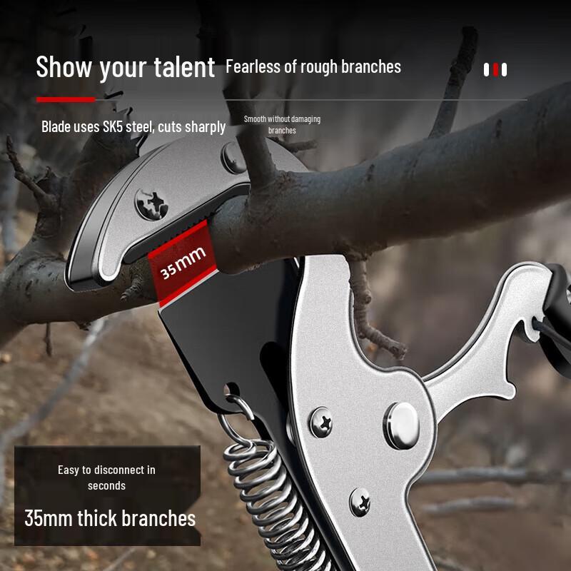 Telescopic High Branch Pruning Saw and Shear