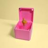 Prank Toys