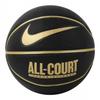 All Court 8 Panel Everyday Basketball