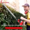 Douhuang German 21V Cordless Electric Hedge Trimmer CN plug (adapter included)