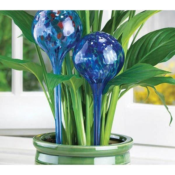 Watering Globe - Pack of 2 - Glass - Long-lasting - Ideal for Holidays