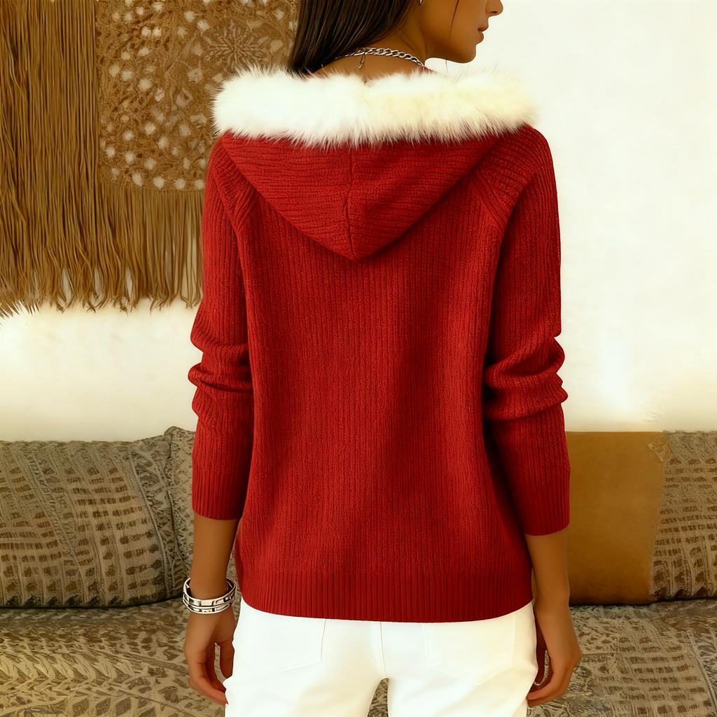 Women's  Coat Long Sleeved Hooded Winter Warm Coat Jacket