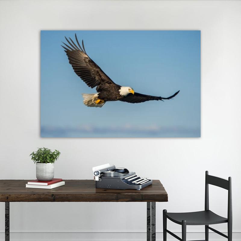 RELIABLI ART Obrazy na płótnie Latający orzeł Zdjęcia zwierząt Home Wall Art do salonu Plakaty i reprodukcje Dekoracja wnętrz