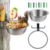 Heavy Duty Squirrels Feeder Bracket Wall Mounted Rings Design Easy Installation Backyard Decoration Feeder Bracket