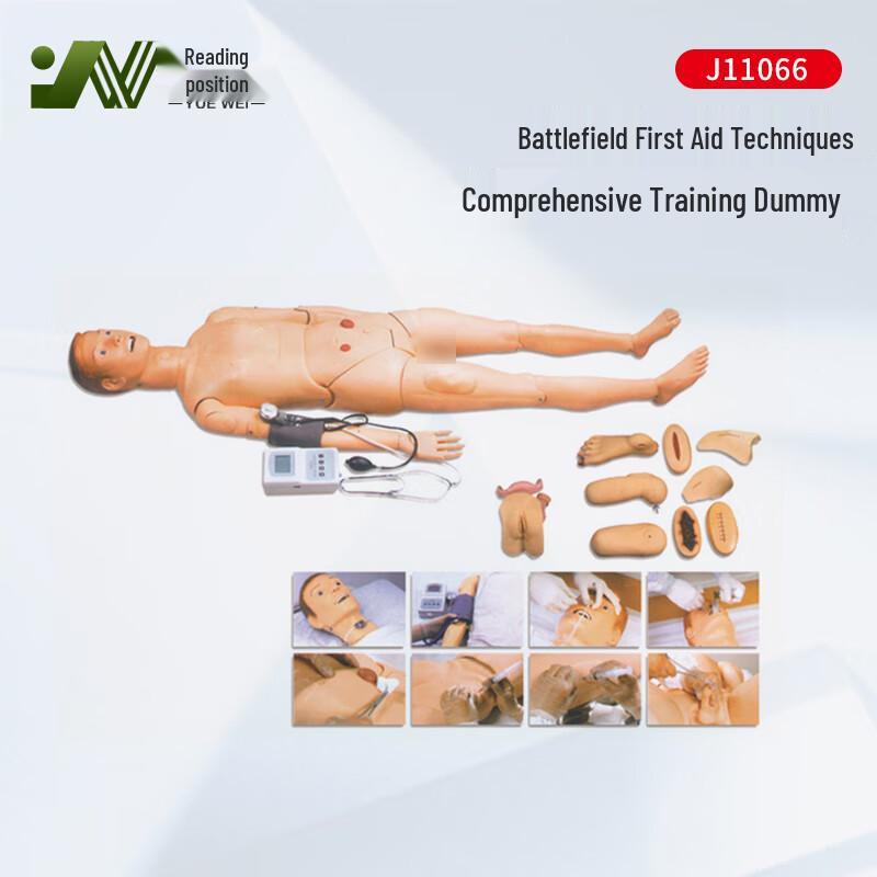 Comprehensive First Aid Training Manikin