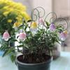 Beautifully Crafted Flower 9Pieces Quality Resin Orchids Garden Stakes Decorations for Indoor Outdoor Decoration