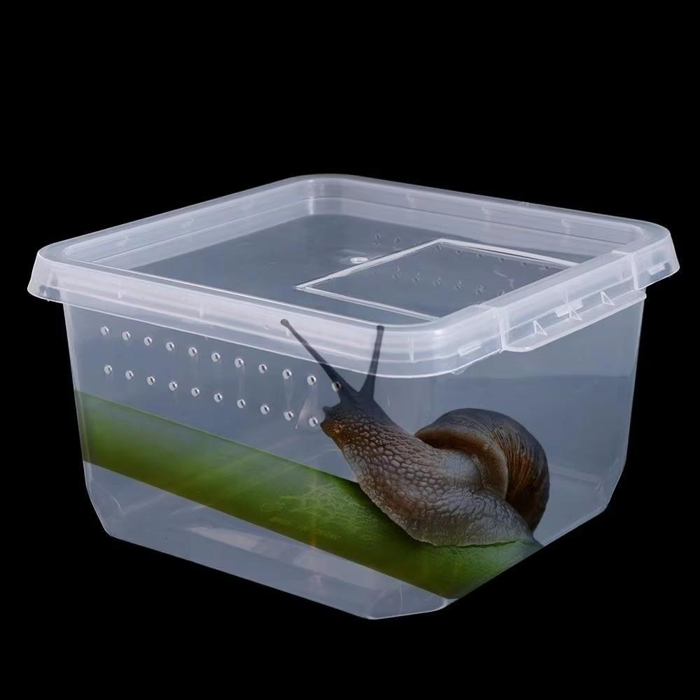 Klar Plast Reptil Levnadslåda Matning Anti-Rymning Ödla Uppfödningslåda Insektsodling Trälevande Reptil Terrarium