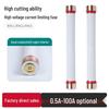RN2-10KV Indoor High-Voltage Fuse, 0.1A-3A Current-Limiting 10KV Fuse