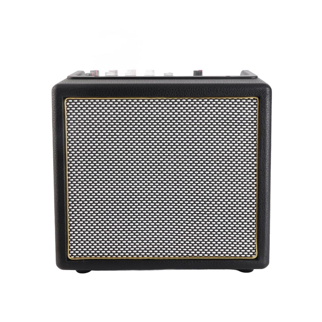 Guitar Amplifier 30W Professional Portable Rechargeable Electric Guitar Amp with OTG BT Function