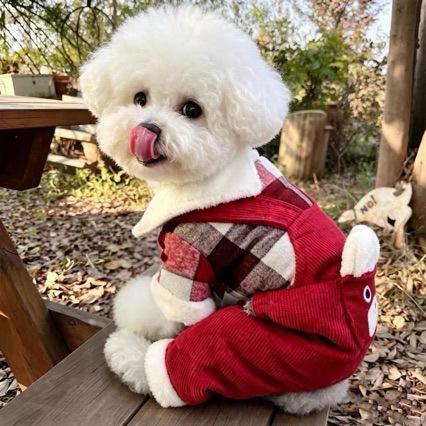 Puppy dog clothes thickened autumn and winter pet small dog teddy bear pomeranian chihuahua winter velvet cotton coat