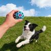Welpenspielzeugball, Hohl, Elastischer TPR-Ball mit Geräusch, Glocken-Haustierspielzeugball
