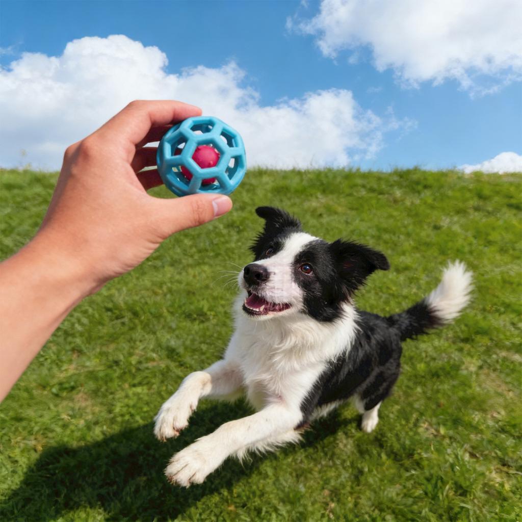 Welpenspielzeugball, Hohl, Elastischer TPR-Ball mit Geräusch, Glocken-Haustierspielzeugball