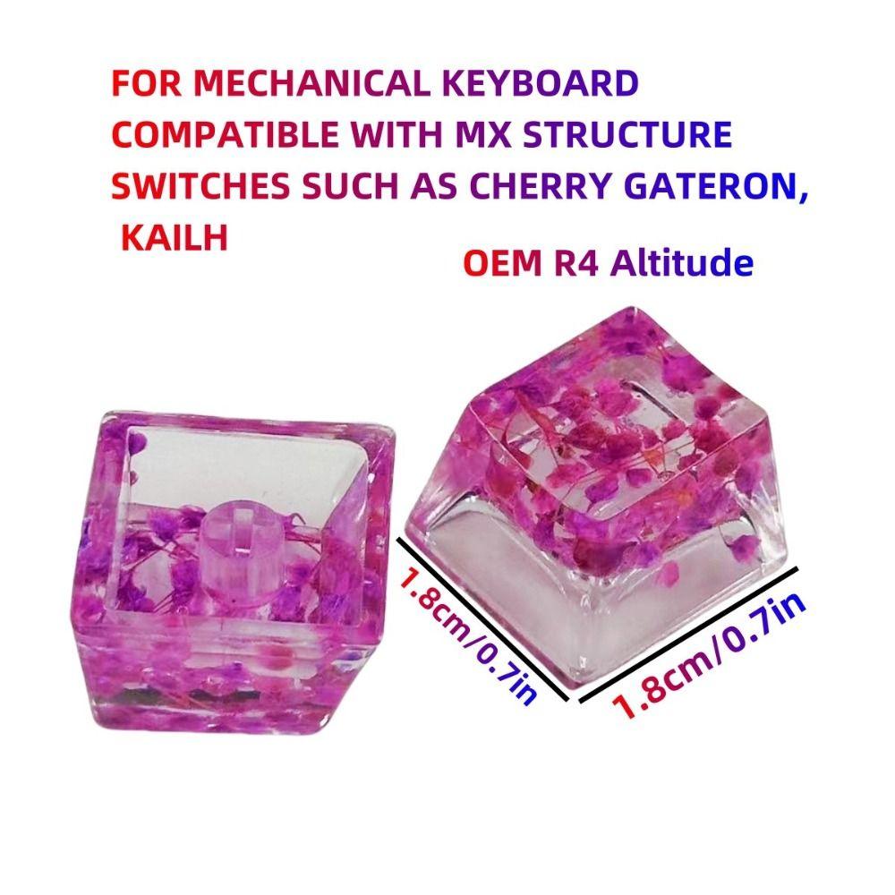 Translucent Mechanical Keyboard Keycap OEM R4 Resin Keycap Dried Flower Keycaps  Cherry MX