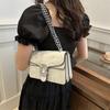 Personality Trend Commuter Bag Personality Chain New Summer Fashion Shoulder Bag Messenger Bag Casual Small Square Bag