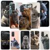 Coque de téléphone pour chat British Shorthair pour Xiaomi Redmi Note 15 14 13 12S 12 Pro Plus 11S 11E 11 11T 10S 10 Motif artistique doux Rouge
