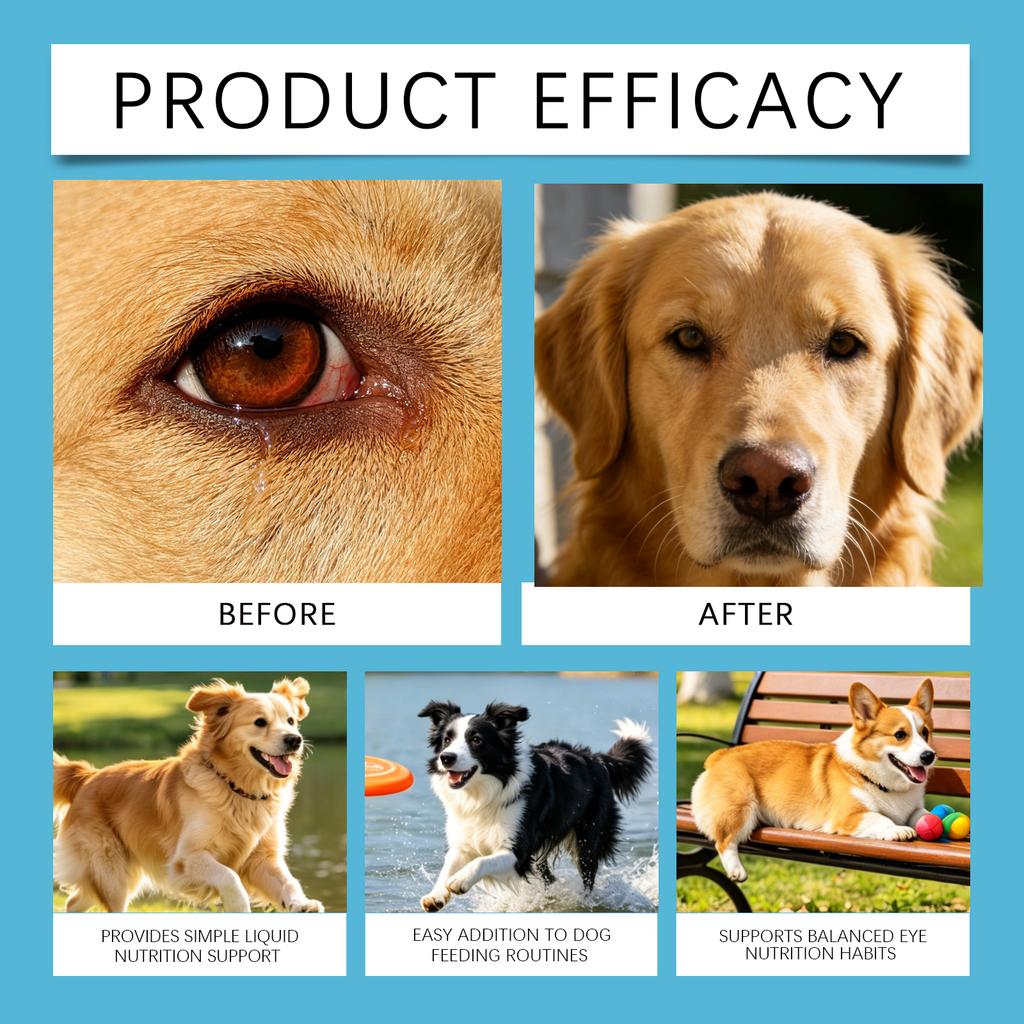 30ml Dog Eye Health Drops – Supports Visual Balance and Eye Nutrition for Daily Pet Eye Care Antioxidants VitaminsEye Supplement2