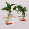Simplicity Wall Hanging Irregular Shape Glass Vase Creative Hydroponic Plant Vase Flower Pot Plant Container for Home Decoration