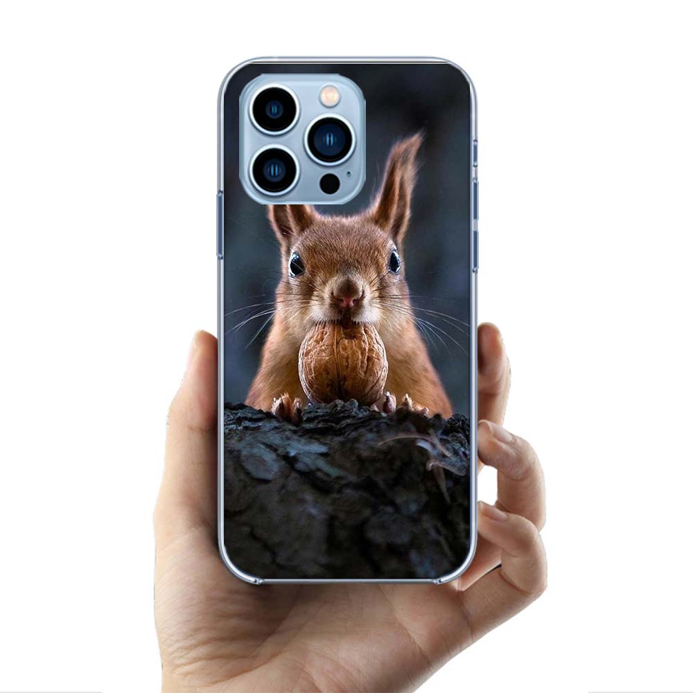 

Forest Squirrels Foraging For Food Cases Phone Case For Iphone 17E 16E 17 Air 16 Pro Max 15 Pro 14 Plus 11 13 12 Mini Cover Case iPhone 16 Pro Max