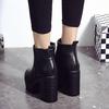 Autumn Winter Round Head Thick Heels Ultra-high Heels Waterproof Platform Short Boots Fashion Boots