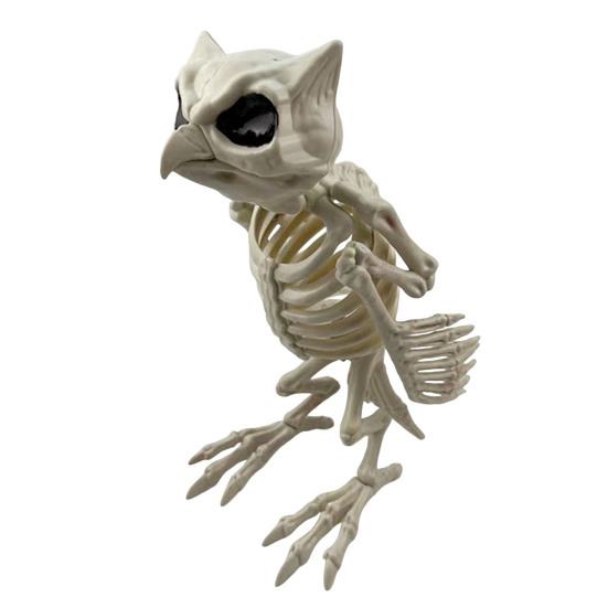 Halloweenské zvířecí kostry Pes Netopýr Žába Štír Pavouk Had Krysa Kostní kostry pro Halloweenskou párty Strašidelný dům Hřbitovní scéna Dekorace