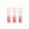 Couture Lip Tint Blur Velvet 5.5g (27377934)