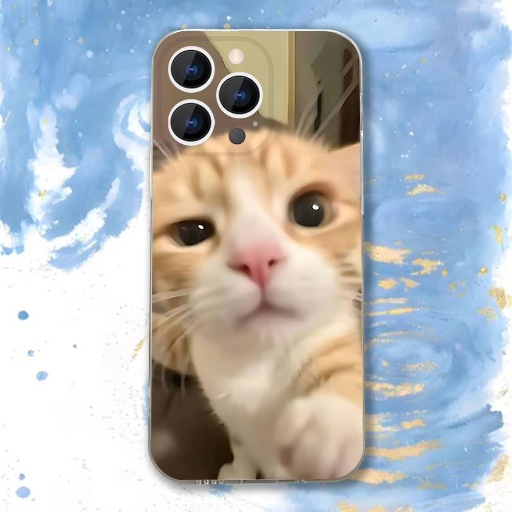 

Funny Selfie Cat Meme Mirror Phone Case for iPhone 17 16 15 14 13 12 11 Series Pro Max Plus Double Layer Protection iphone 16 ProMax