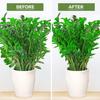10 PCS Plant Stakes, Plant Support Stakes, Plant Support, Peony Cages, Garden Stakes Plant Cages for Outdoor Indoor Plants