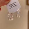 Flashing silver crushed ice double-layer circle earrings niche unique earrings high-end luxury