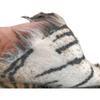 Imitation Tiger & Zebra Stripe Faux Fur Fabric, 2cm Pile, Performance Costume DIY Fabric, Half-Meter Length.