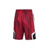Li-Ning Basketball Loose Shorts Men Bottoms Brick-Red AAPP281-2