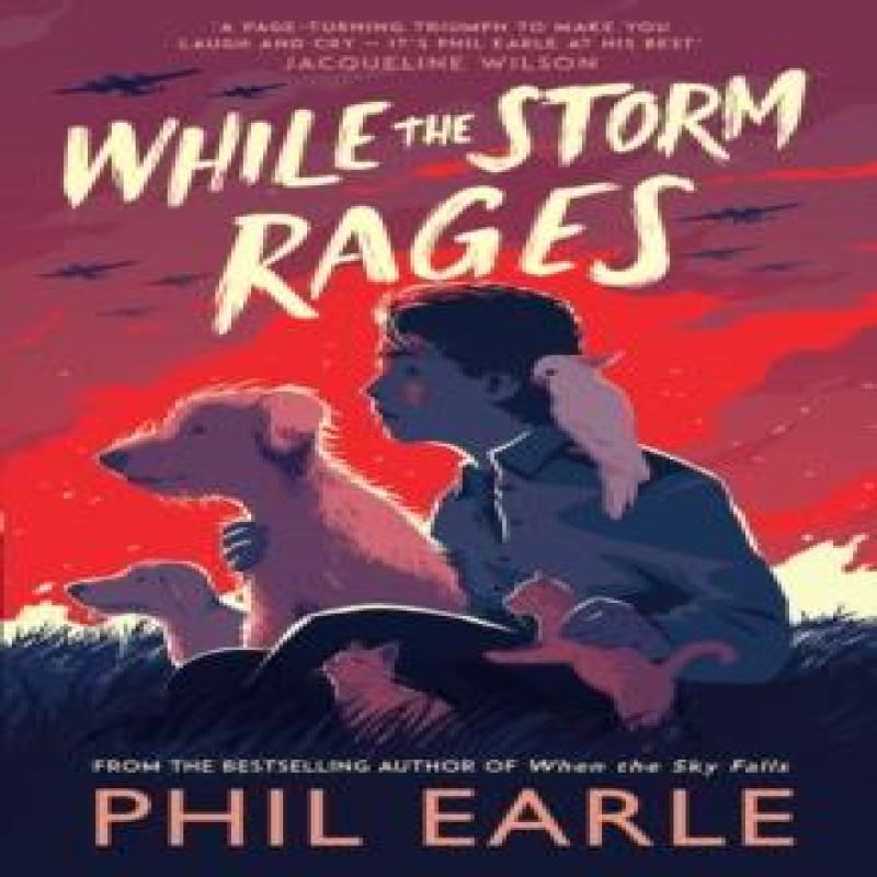 While the Storm Rages by Phil Earle Paperback Book 9781839132056