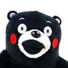 Yamani Kumamon sprechendes laufendes Plüschtier [Beweglich/Laufend/Gimmick / Herbst/Winter 2022]