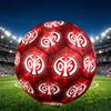 05 1FSV Mainz 05 Print Size 5 Soccer Ball, PU Wear Resistant Football for Match Training and Daily Practice, Birthday Gift for Soccer Fans
