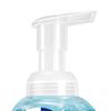 Walch Healthy Care Foaming Antibacterial Hand Wash